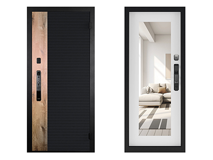 Metal giriş qapısı Rona Smart